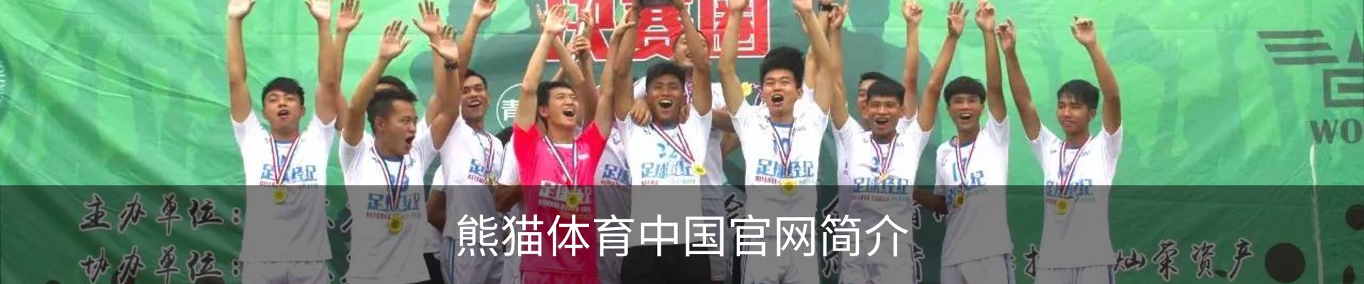 熊猫体育中国官网简介